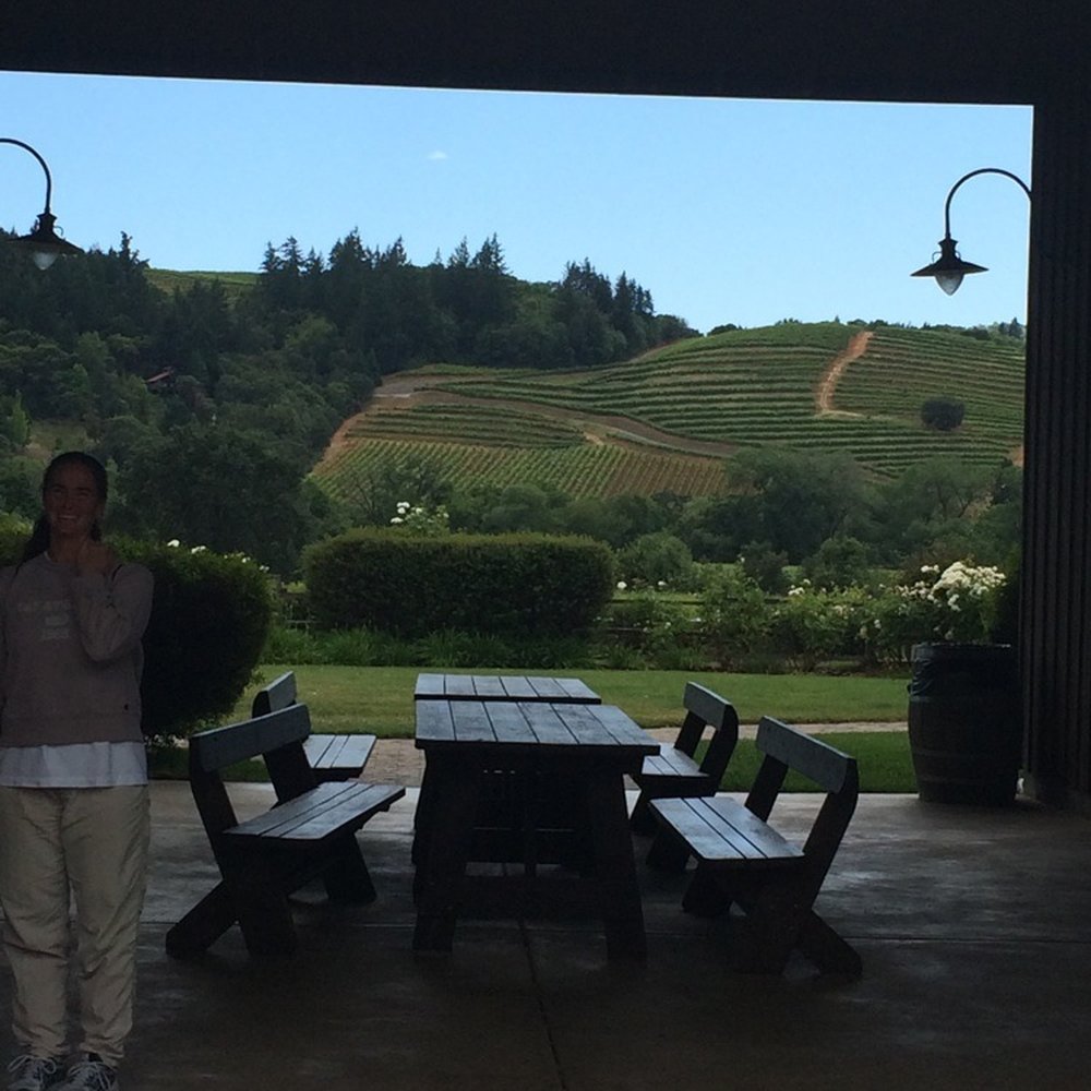 Dutcher Crossing Winery - View from the tasting room - Wineries Near Me - Geyserville, California Dutcher Crossing Winery - View from the tasting room - Wineries Near Me - Geyserville, California