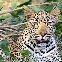 TRAVELINK - You want to go to Africa. We will book your dream experiences.