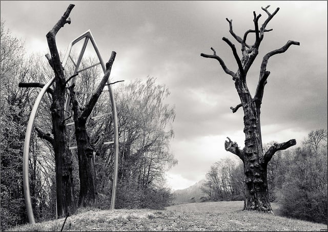 Bosco delle Castagne