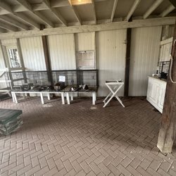Treworgy Family Orchards - Rabbits