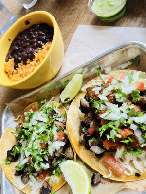 The Little Chihuahua by null