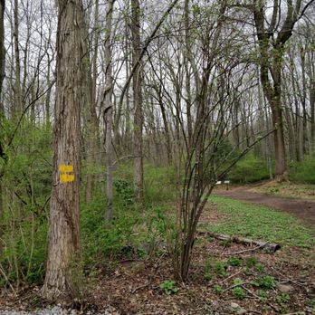 Babcock Preserve - Trailhead - well blazed trails - Parks Near Me