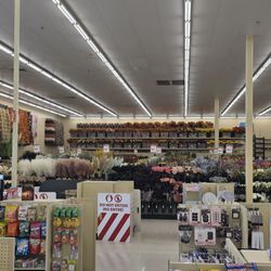 Hobby Lobby - A large artificial plant and flower section with high quality products. Often with great sale prices