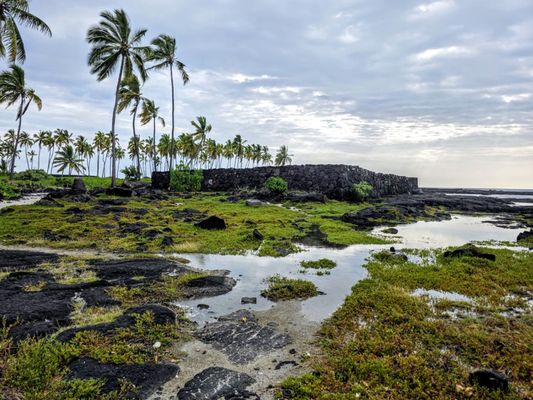 Pu'uhonua O Honaunau National Historical Park by null