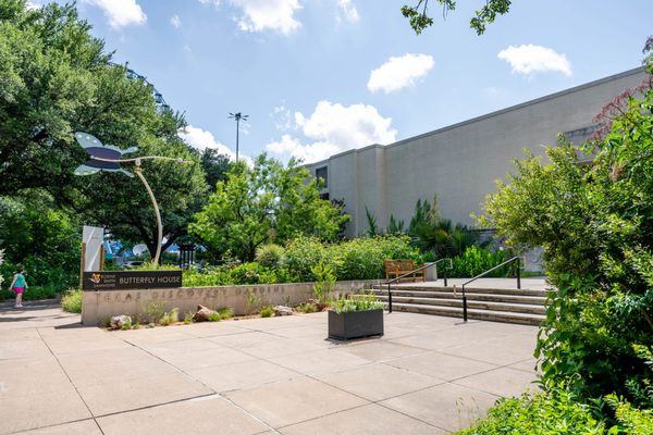 Texas Discovery Gardens at Fair Park by null
