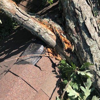 Meinhart's Tree Service - The rooftop, photo by Meinhart. - Tree Services Near Me - Sewell, New Jersey Meinhart's Tree Service - The rooftop, photo by Meinhart. - Tree Services Near Me - Sewell, New Jersey