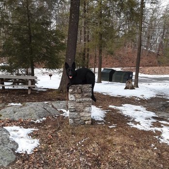 Dog Fence Pro - Invisible dog fencing - Fences & Gates Near Me Dog Fence Pro - Invisible dog fencing - Fences & Gates Near Me
