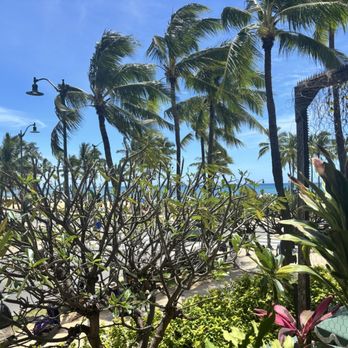 The Crouching Lion - Views of water - Beer Bar Near Me - Kaaawa, Hawaii