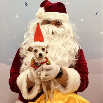 Wagmor Pets Dog Rescue - Pet Groomers Near Me - Studio City, California Wagmor Pets Dog Rescue - Pet Groomers Near Me - Studio City, California