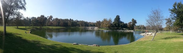 William R Mason Regional Park by null