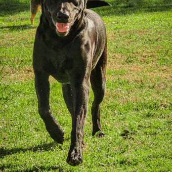 Barks 'n Bobbers Pet Care - Pet Sitting Near Me - Weimar, Texas Barks 'n Bobbers Pet Care - Pet Sitting Near Me - Weimar, Texas