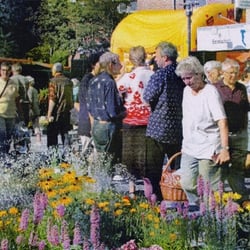 Wochenmarkt in Zeven