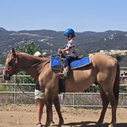 Fun With Horses