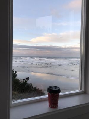 Starfish Point by null