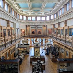Musée Redpath