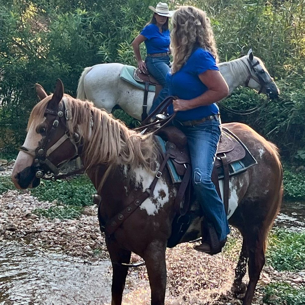 Best Horseback Riding near The Nature Conservancy in Jasper, AR - Yelp