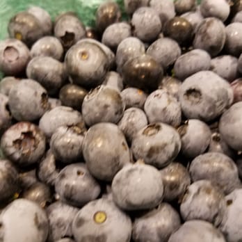 Lewin Farms - Blueberries - Pick Your Own Farms Near Me - Calverton, New York Lewin Farms - Blueberries - Pick Your Own Farms Near Me - Calverton, New York