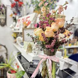 Azucena Bloom’s