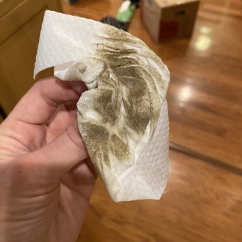 Maryland Luxury Cleaning Services - The filth left in the cabinets that the cleaners supposedly cleaned. - Home Cleaning Near Me Maryland Luxury Cleaning Services - The filth left in the cabinets that the cleaners supposedly cleaned. - Home Cleaning Near Me
