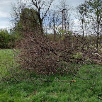 Consumers Energy - Picture #2 of mess. - Home Energy Auditors Near Me - Lansing, Michigan Consumers Energy - Picture #2 of mess. - Home Energy Auditors Near Me - Lansing, Michigan