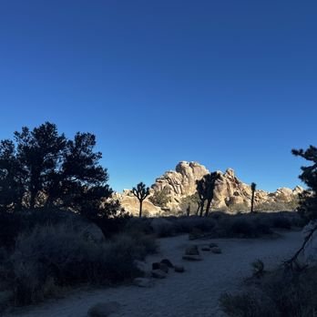 Joshua Tree National Park - Juxtaposition - Parks Near Me - Joshua Tree, California Joshua Tree National Park - Juxtaposition - Parks Near Me - Joshua Tree, California