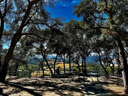 Adelaida Vineyards and Winery by null