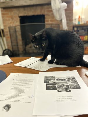 Zoe Deleu Catering by null