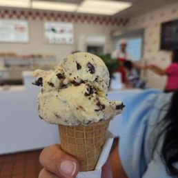 Chocolate Chip Mint Chocolate Chip Mint