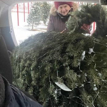 Just Landscaping - The wrapped tree and wreath, but you cant see the red bow - Christmas Trees Near Me - Catonsville, Maryland
