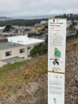 16th Avenue Tiled Steps by null