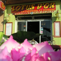 Lotus d or