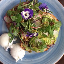 Best smashed avo in Adelaide