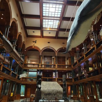 Bishop Museum - Magnificent building - Museums Near Me - Honolulu, Hawaii