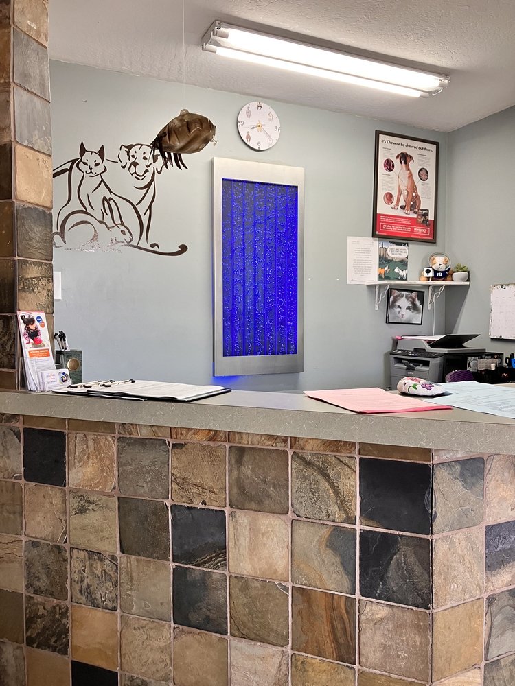 ARIZONA SPAY & NEUTER CLINIC YOUR LOW COST VET OF SCOTTSDALE