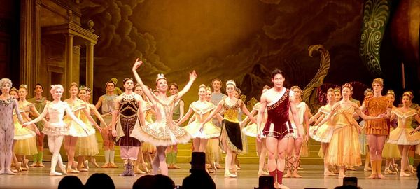 Metropolitan Opera House by null