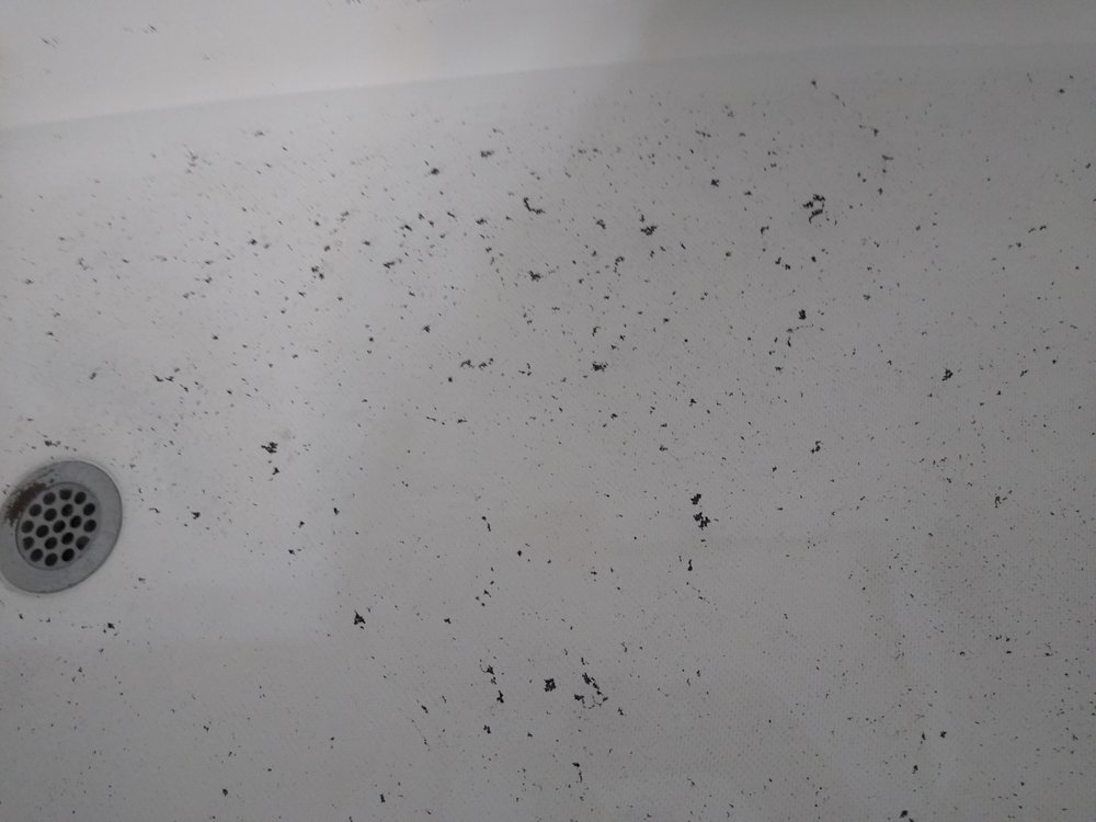 AMBER RIDGE APARTMENTS Updated September 2024 5601 Goldthread Ln