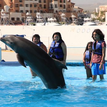 Cabo Adventures - Boat Tours Near Me - Cabo San Lucas, BCS Cabo Adventures - Boat Tours Near Me - Cabo San Lucas, BCS