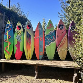 Hook Fish at Proof Lab Beer Garden - A wall of surfboards - Seafood Near Me - Mill Valley, California