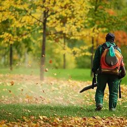 S A Landscaping - S.A. Landscaping