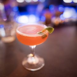 Ranger Station - great cocktails
