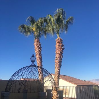 RedGator Tree Trimmin' and Landscape - Tree Services Near Me - Las Vegas, Nevada
