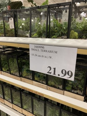 Costco Wholesale by null