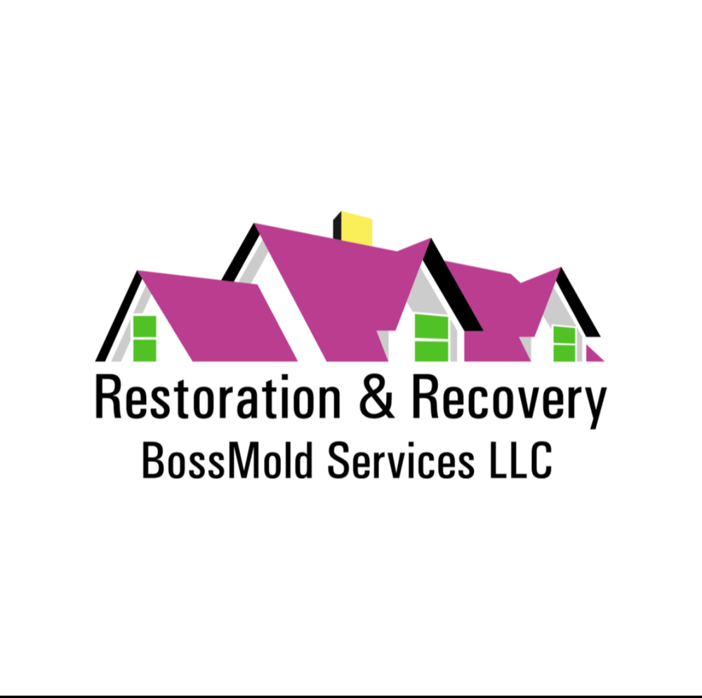 Bossmold Services - mold inspector in New Orleans, LA