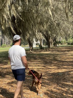 Fort Frederica National Monument by null