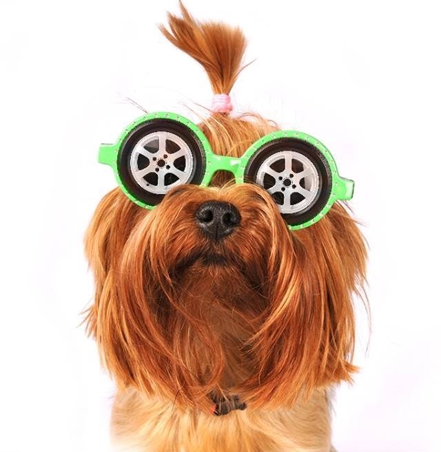 FREDDIE’S DISCOUNT TIRE 18 Photos & 14 Reviews 3104 W Reno Ave, Oklahoma City, Oklahoma