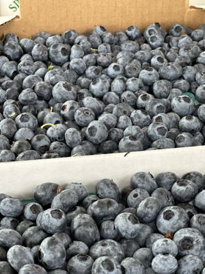 Spooner Berry Farms - Seattle