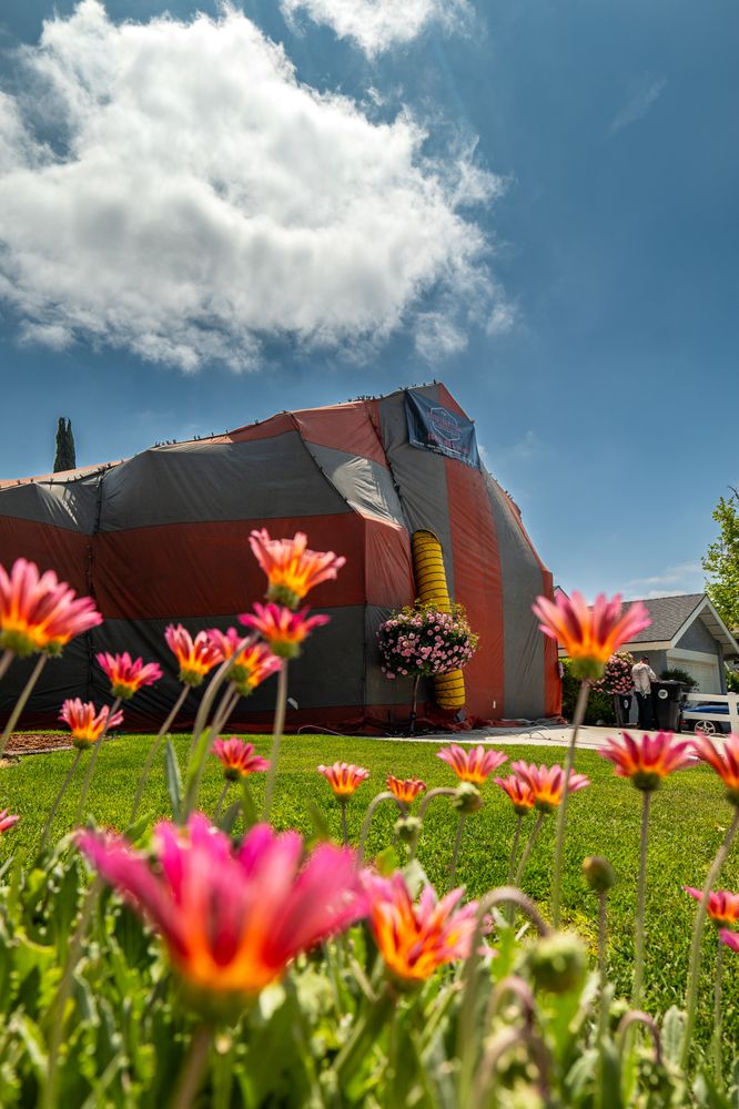 Slide of Stratton Termite & Roofing Solutions