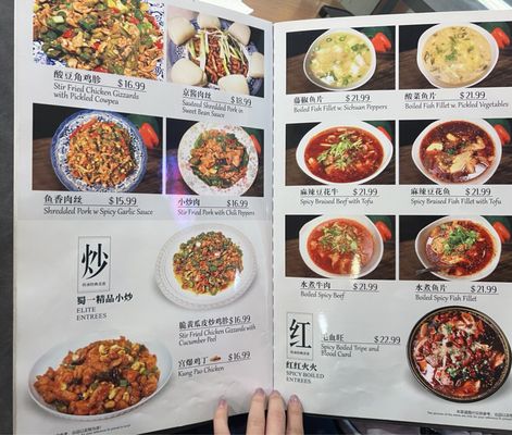 Spicy Style of Sichuan by null