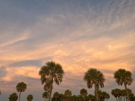 Fred Howard Park by null