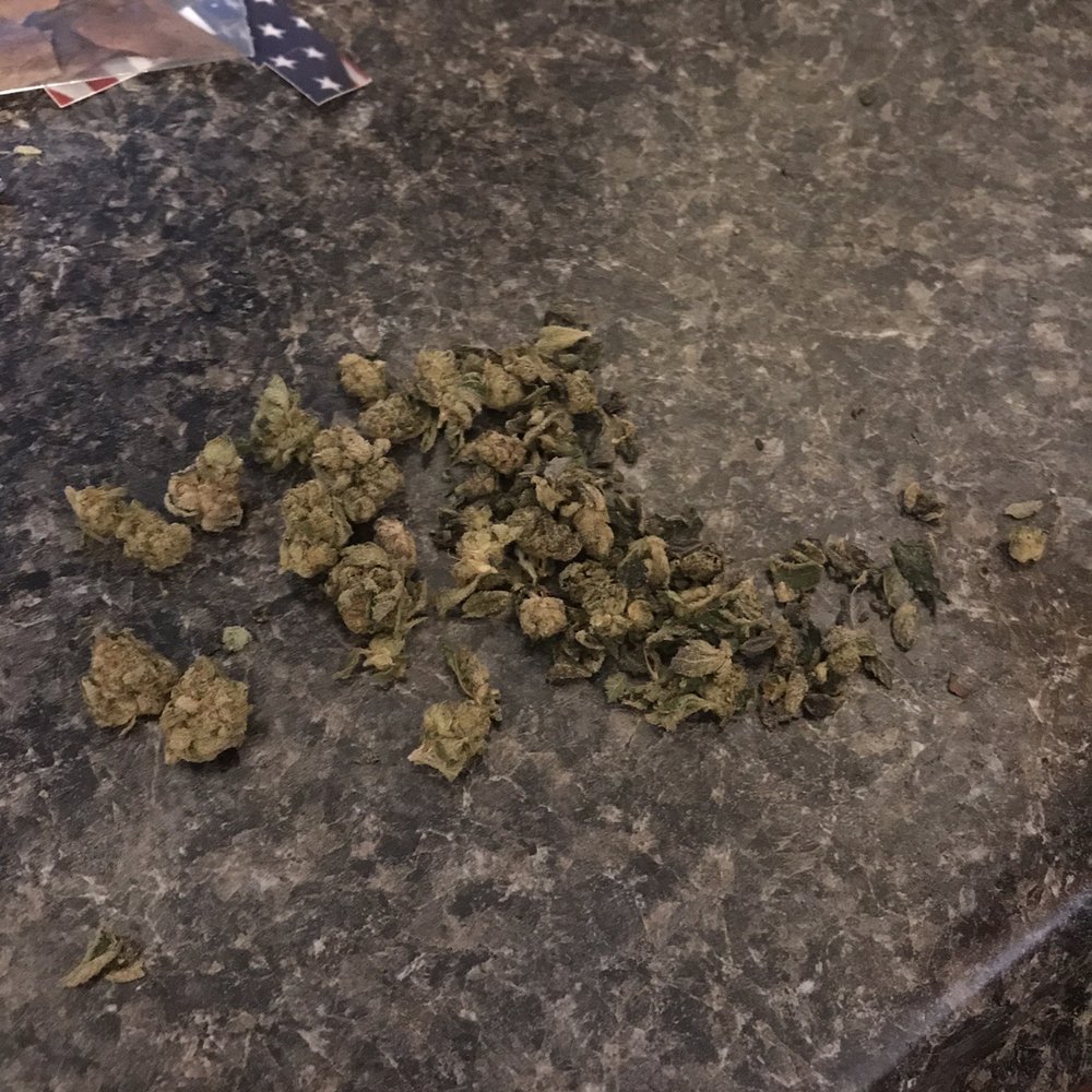 Holistic Health - 75% water leaves they rip everyone off! - Cannabis Dispensaries Near Me - Wayne, Michigan